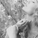 Wild Botanical Perfume Roller | Lavender