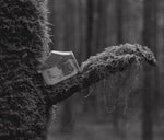 Forest Bathing | Organic Botanical Soap