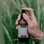 Stubbs Island | Plant Perfume
