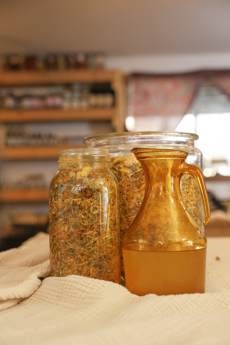 🌼 Meet Calendula: The Golden Healer