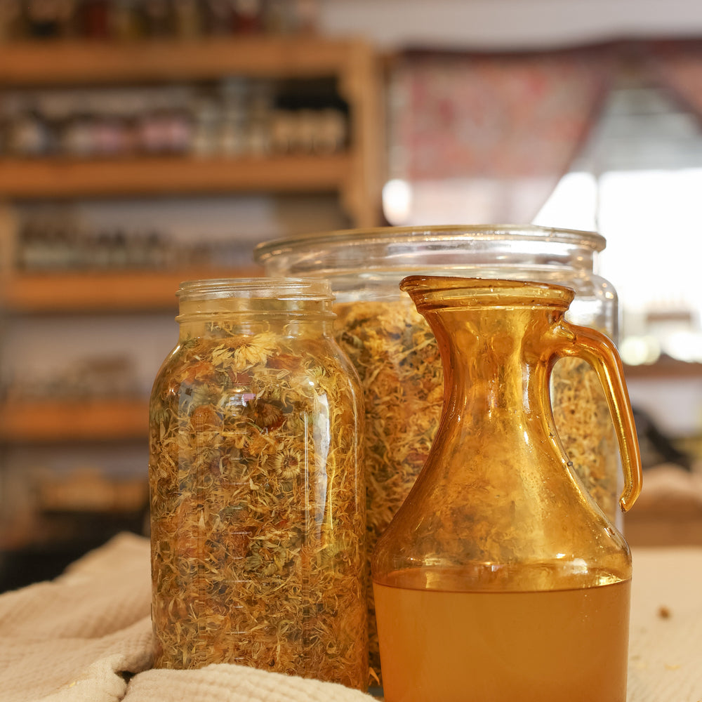 🌼 Meet Calendula: The Golden Healer