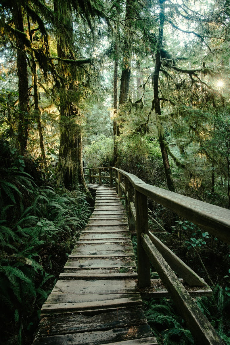 The Best Stops on the Drive from Nanaimo to Tofino