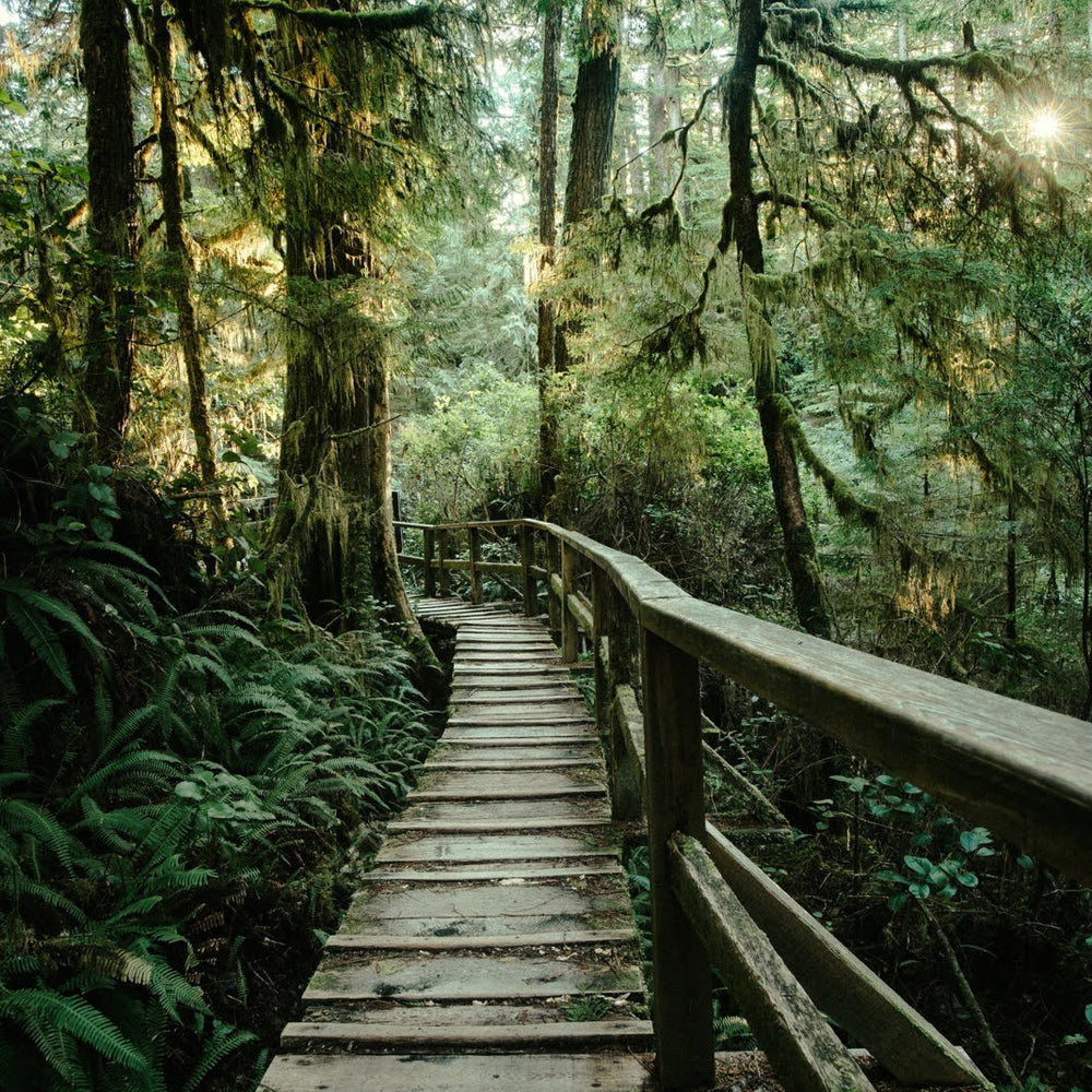 The Best Stops on the Drive from Nanaimo to Tofino