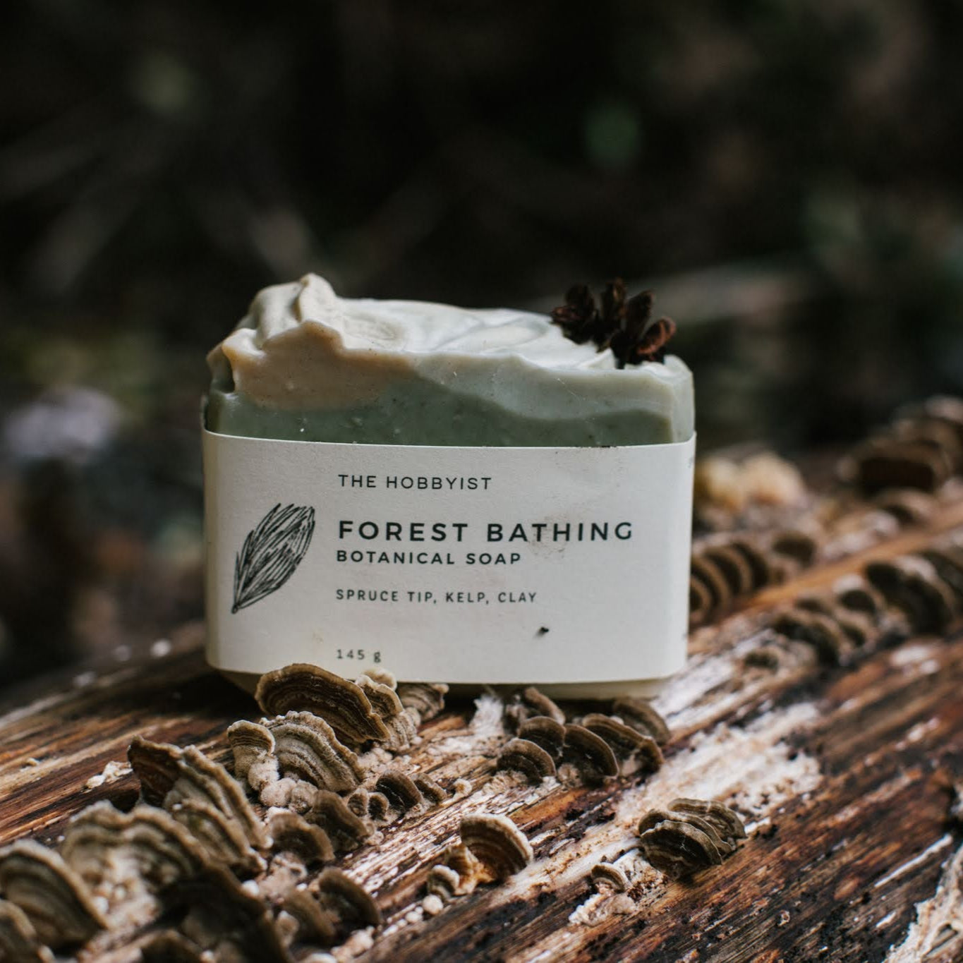 Forest Bathing | Small Batch Bundle