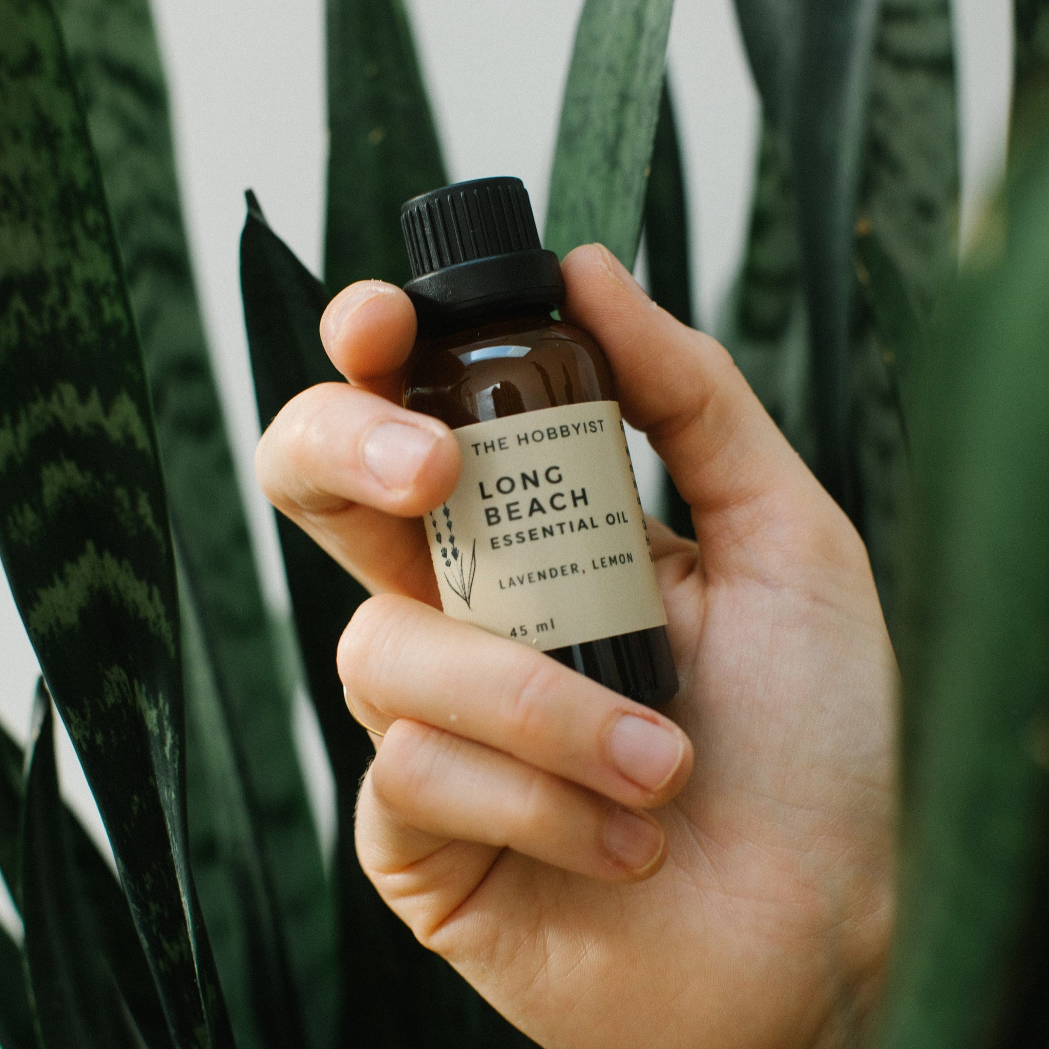 Long Beach | Essential Oil