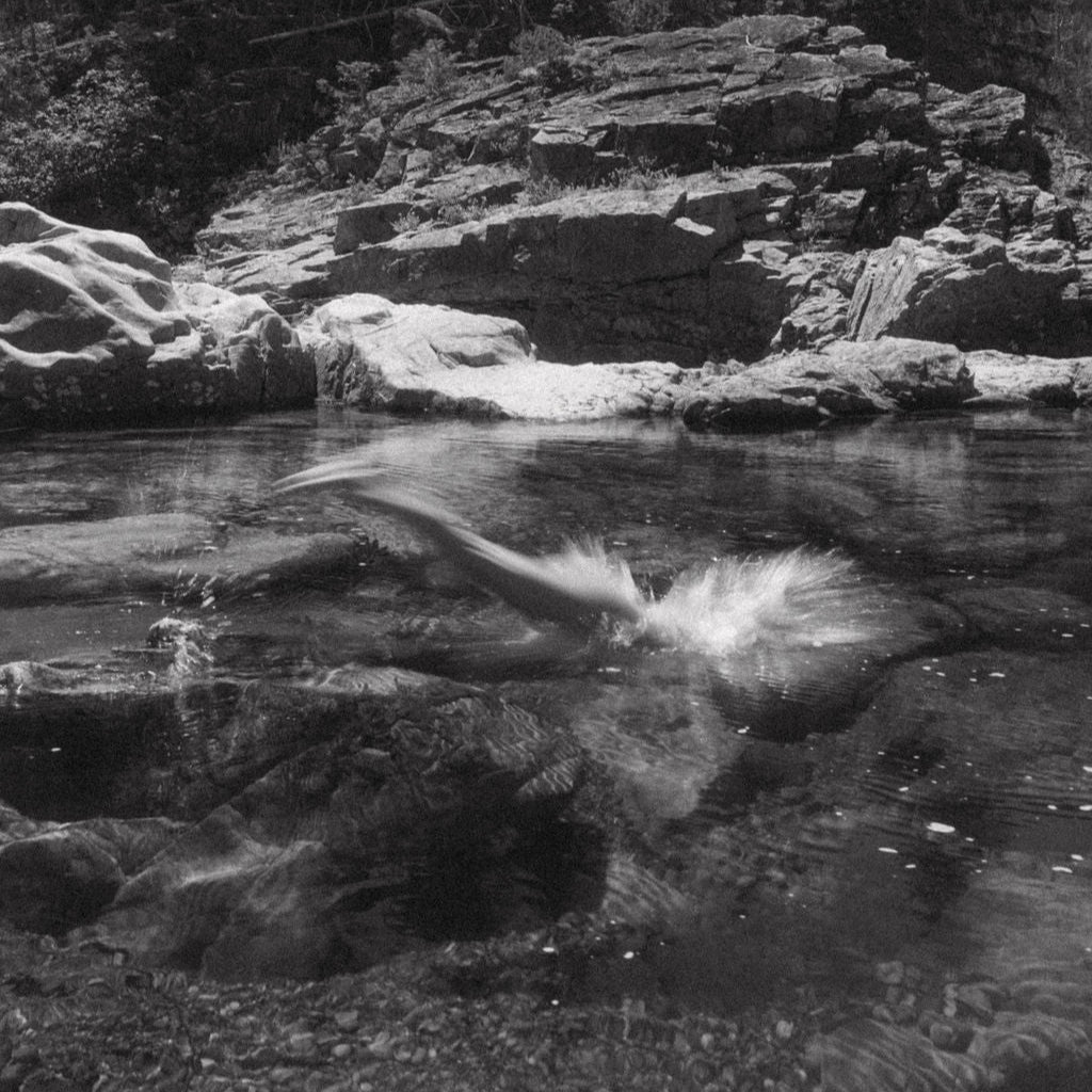 Cold Plunge | Essential Oil