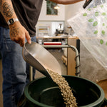 Tofino Coffee Roasting Co. | Old Growth Coffee Beans