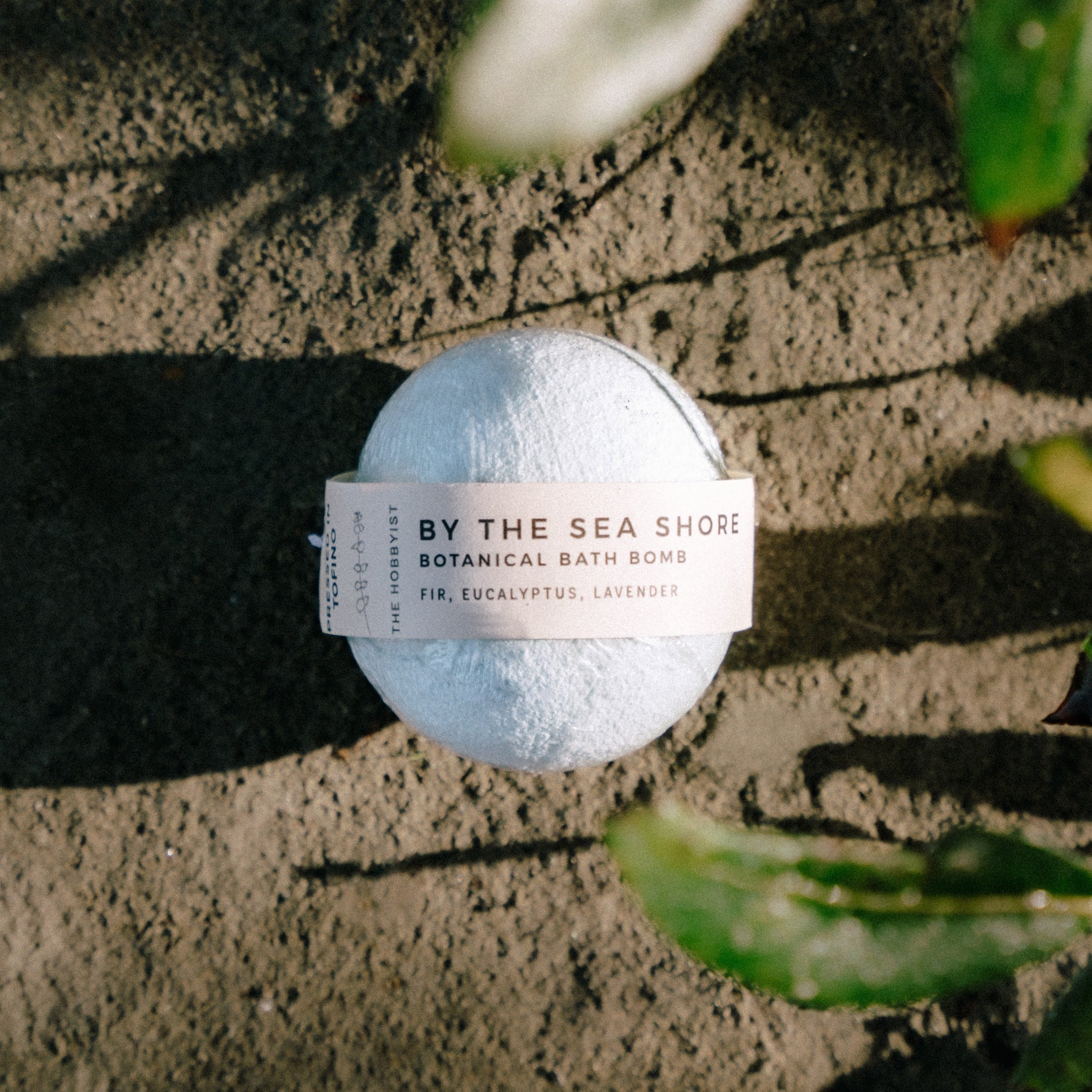 By the Sea Shore Bundle | Small Batch Beach Bundle