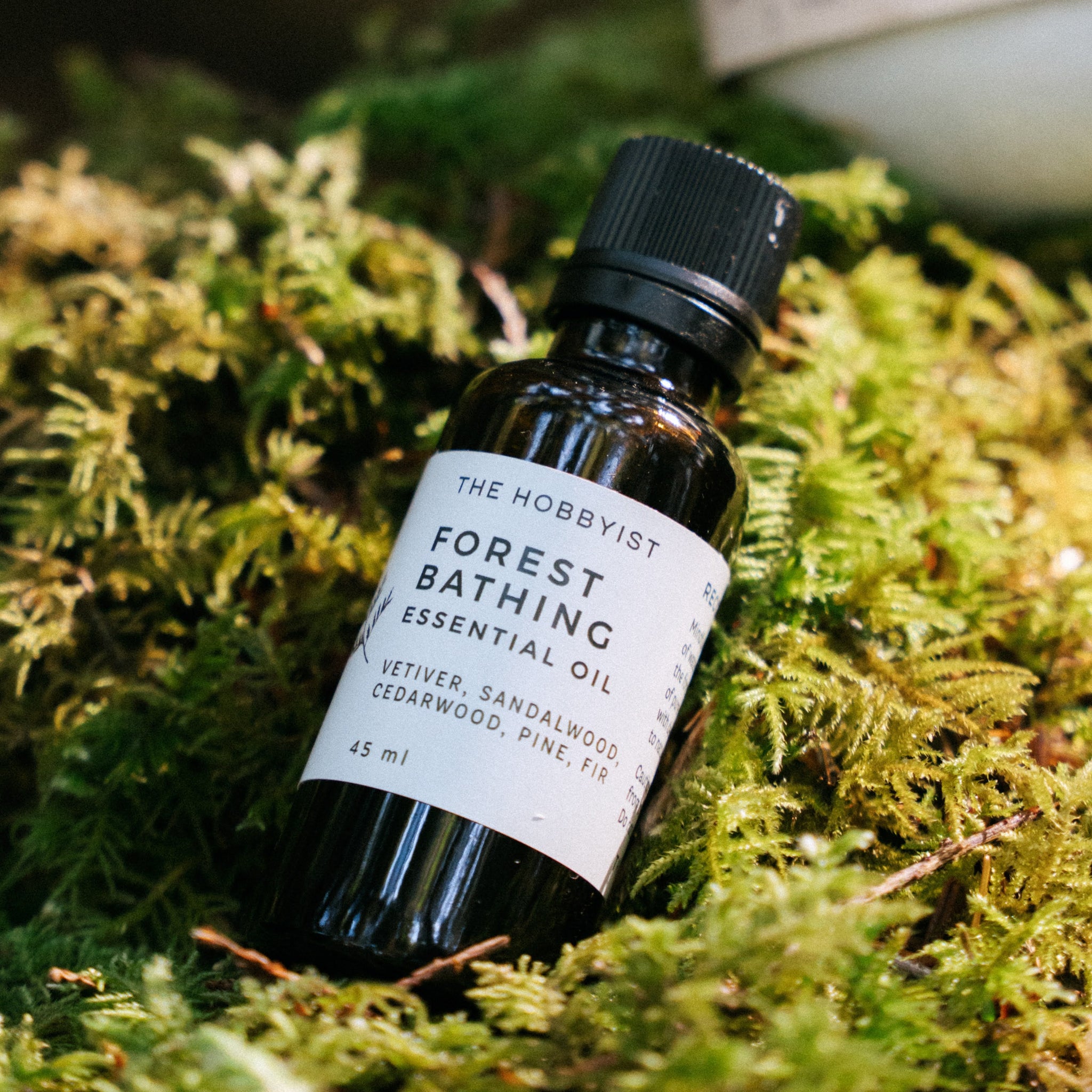 Forest Bathing | Small Batch Beach Bundle