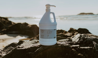 On the Inlet | Plant Powered Hand and Body Wash | 1 gallon jug with pump top lid