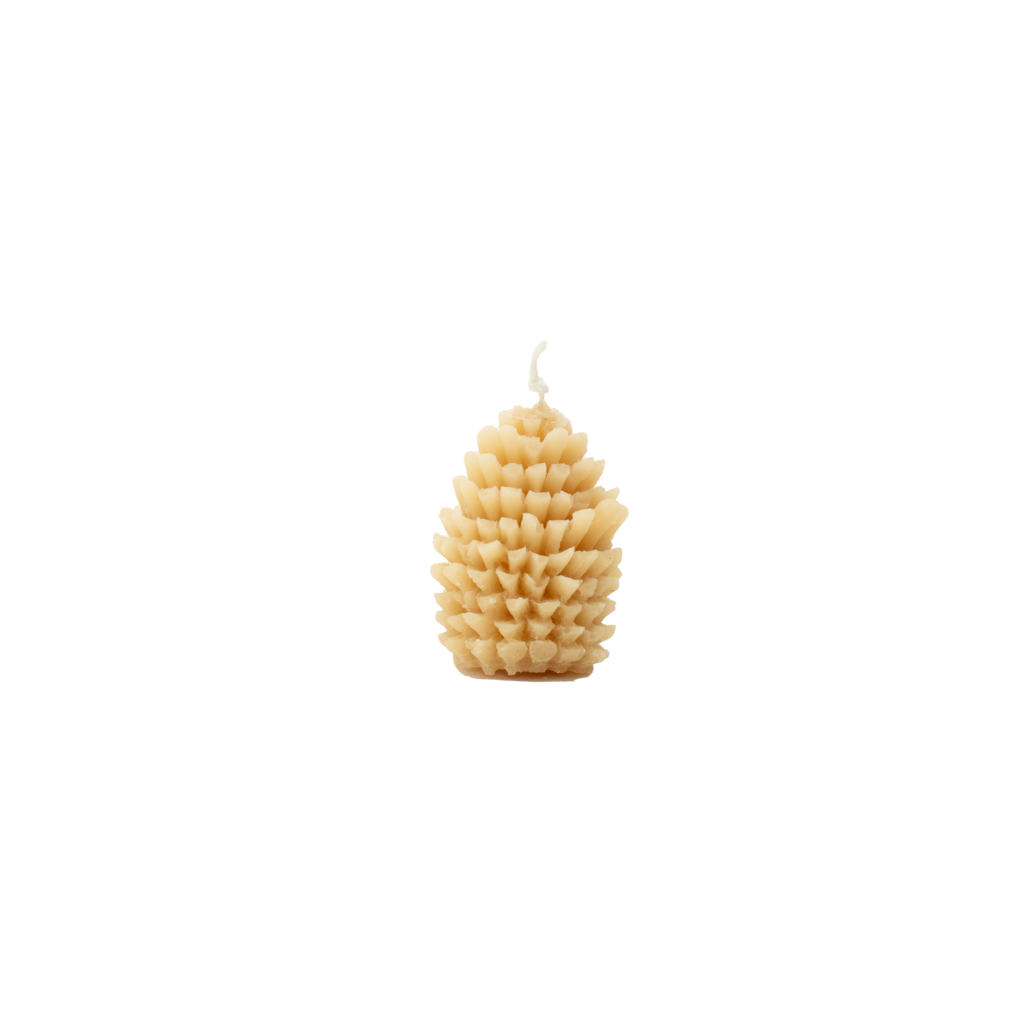 Product photo of the Pine Cone Candle from our Bring it for the Bees Collection